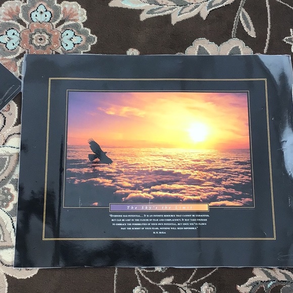 Set of 5 Successories Full Size Laminated Motivational Posters - Picture 3 of 6